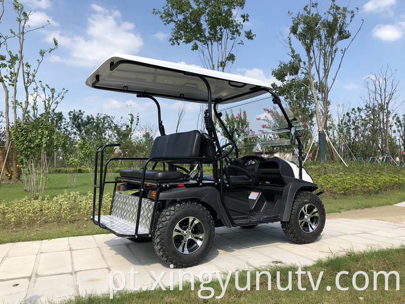 2021 Hot Sale de alta qualidade 5kW Electric UTV com EEC